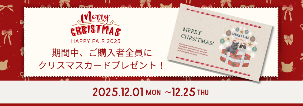 クリスマスキャンペーン